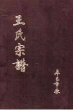 河南省鹤壁市小寨沟村王氏宗谱 封面