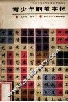 青少年钢笔字帖 封面