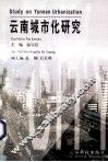 云南城市化研究 封面