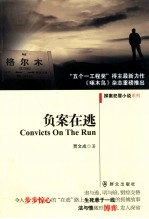 负案在逃 封面