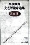 当代湖南文艺评论家选集  胡良桂卷 封面