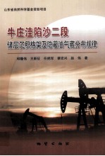 牛庄洼陷沙二段储层沉积格架及隐蔽油气藏分布规律 封面