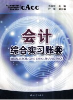会计综合实习几账套 封面