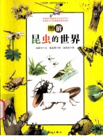 图解昆虫的世界 封面