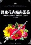 经典童话大拼图  野生花卉经典图鉴 封面