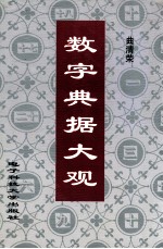 数字典据大观 封面