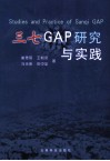 三七GAP研究与实践 封面