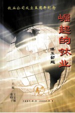 崛起的钛业 封面