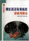 棚室蔬菜疑难病害诊断与防治 封面