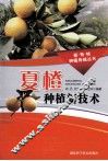 夏橙种植新技术 封面