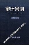 审计案例 封面
