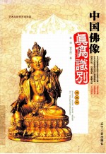中国佛像真伪识别 封面