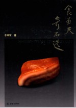 食为天奇石选 封面