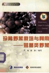 珍稀野菜栽培与利用  菇菌类野菜 封面