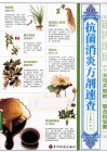 抗菌消炎方剂速查  不可不知的“复合抗生素” 封面