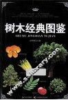 树木经典图鉴 封面