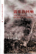 嵩泉的回响 封面