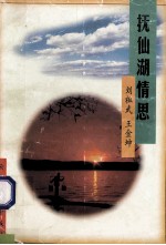 抚仙湖情思 封面