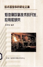 熔池侧吹氧技术的开发  应用和研究 封面