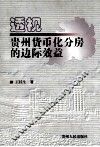 透视贵州货币化分房的边际效益 封面