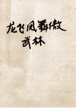 龙飞凤舞傲武林  陆小凤续集  中 封面