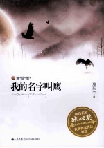 我的名字叫鹰 封面