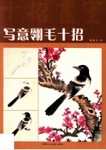 写意翎毛十招 封面