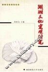 湖湘文化宏观研究 封面