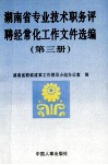 湖南省专业技术职务评聘经常化工作文件选编  第3册 封面