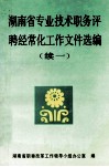 湖南省专业技术职务评聘经常化工作文件选编  续一 封面