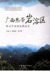 广西热带岩溶区林业可持续发展技术 封面