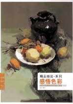 经典全集系列丛书精品细说系列感悟色彩 封面