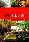 聆听树木之语 封面