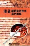 滑菇栽培实用技术彩色图解 封面