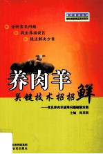 养肉羊关键技术招招鲜  常见养肉羊疑难问题破解方案 封面