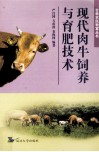 现代肉牛饲养与育肥技术 封面