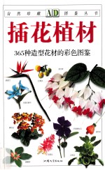插花植材 封面