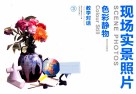 教学对话  色彩静物  花卉文体用品  现场实景照片 封面