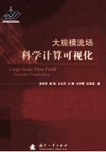大规模流场科学计算可视化 封面