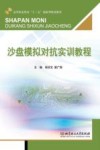 沙盘模拟对抗实训教程 封面