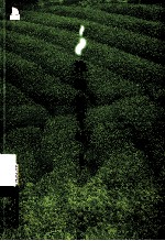 谁解茶中味 封面