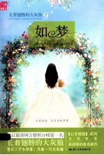 如梦 封面