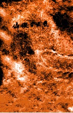 偏微分方程 封面