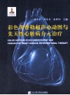 彩色多普勒超声心动图与先天性心脏病介入治疗 封面