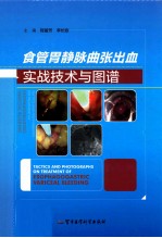 食管胃静脉曲张出血实战技术与图谱 封面