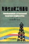 裂缝性油藏工程基础  下 封面