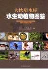 大伙房水库水生动物植物图鉴 封面
