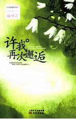 许我再次邂逅 封面