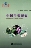 中国牛蒡研究 封面