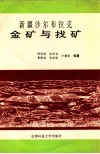 新疆沙尔布拉克金矿与找矿 封面